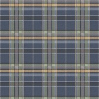 Tartan Blue