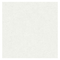Cristiana Masi Grey Plain Wallpaper -Grey