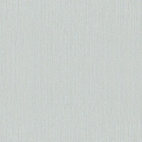 Modern Plain