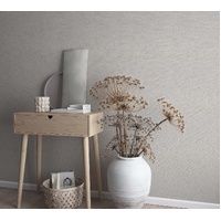 Textured Plain 