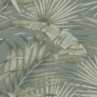 Palm Tree