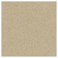 Shell Textured 
