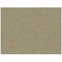 Botanical Grasscloth Plain 27