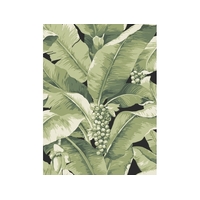 Paradisio Palm