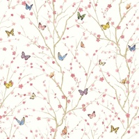Papillon - White