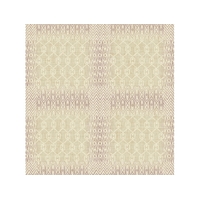 Ethnic Weave Print