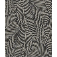 Pampas Palm - Volcanic
