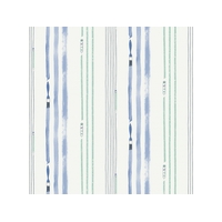 Outside the Lines Stripe