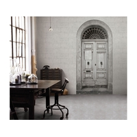 Door Global Fusion Mural (Discontinued)