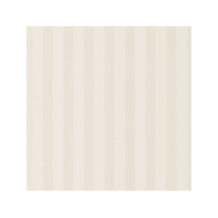 Matte/Shiny Stripe
