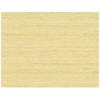 Shantung Silk