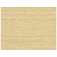 Shantung Silk