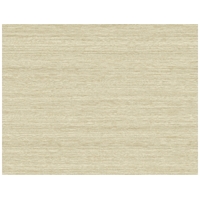 Shantung Silk
