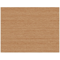 Shantung Silk