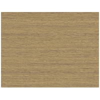 Shantung Silk