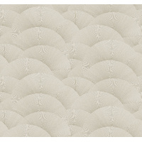 MORNING SHELL                                     